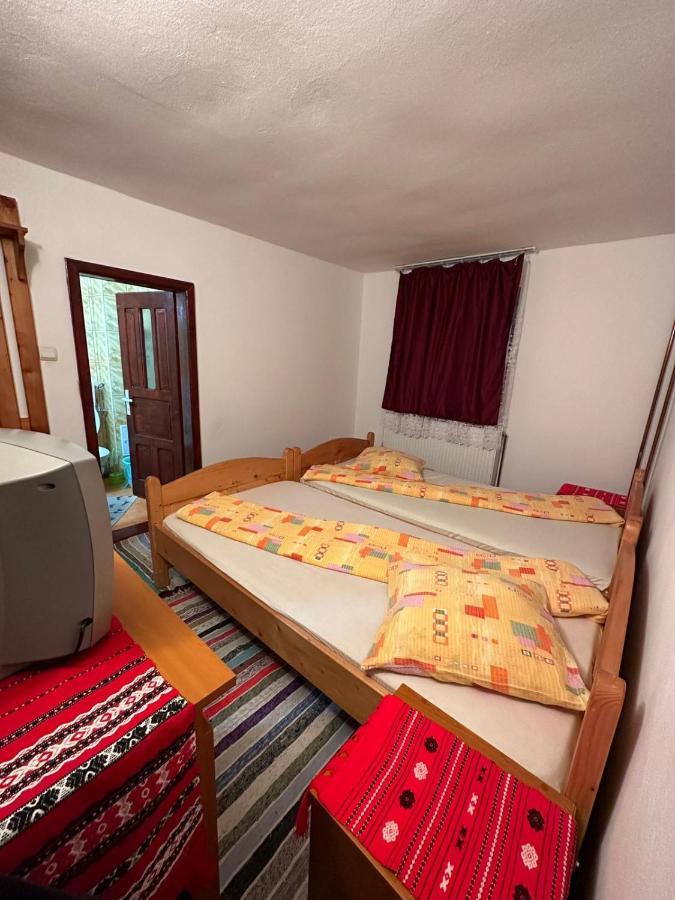 Vila Casa Alex Arieşeni Exteriér fotografie